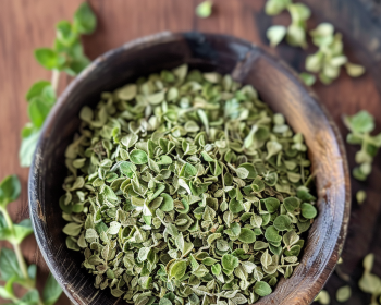 Greek oregano 3