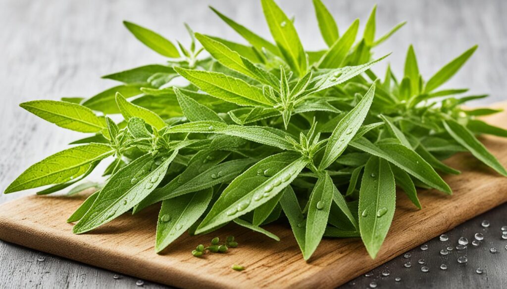 Lemon Verbena