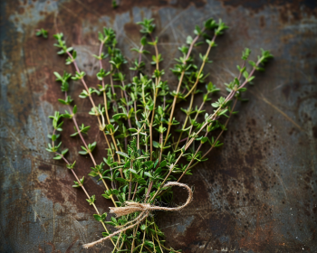 Thyme